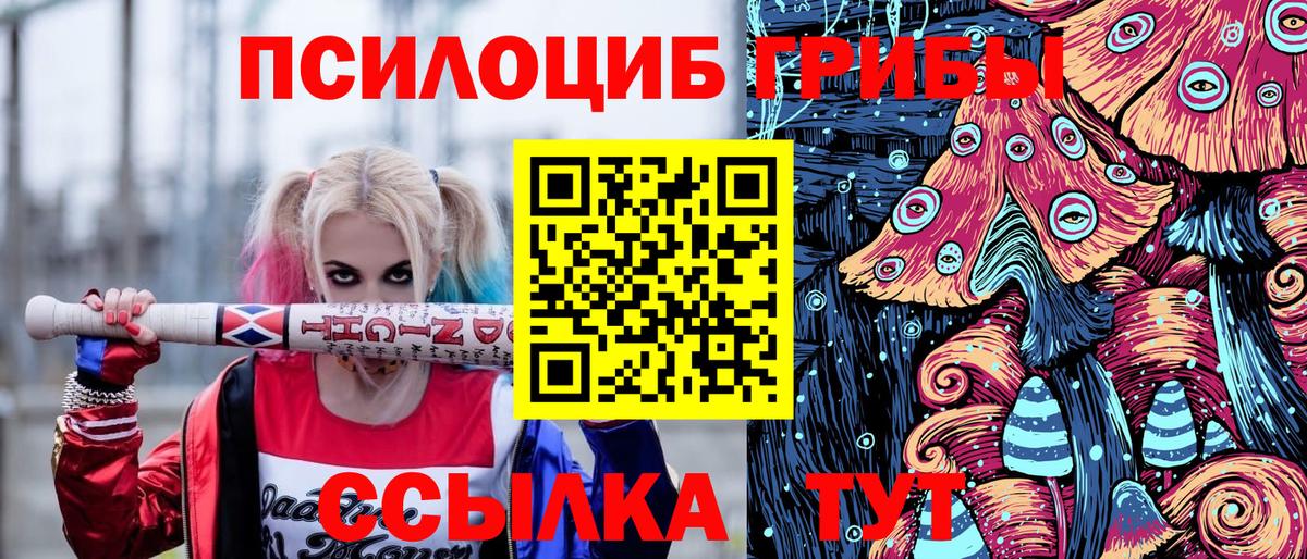 Галлюциногенные грибы мухоморы  Галлюциногенные грибы ЛСД  Вход с VPN  Прокопьевск 
